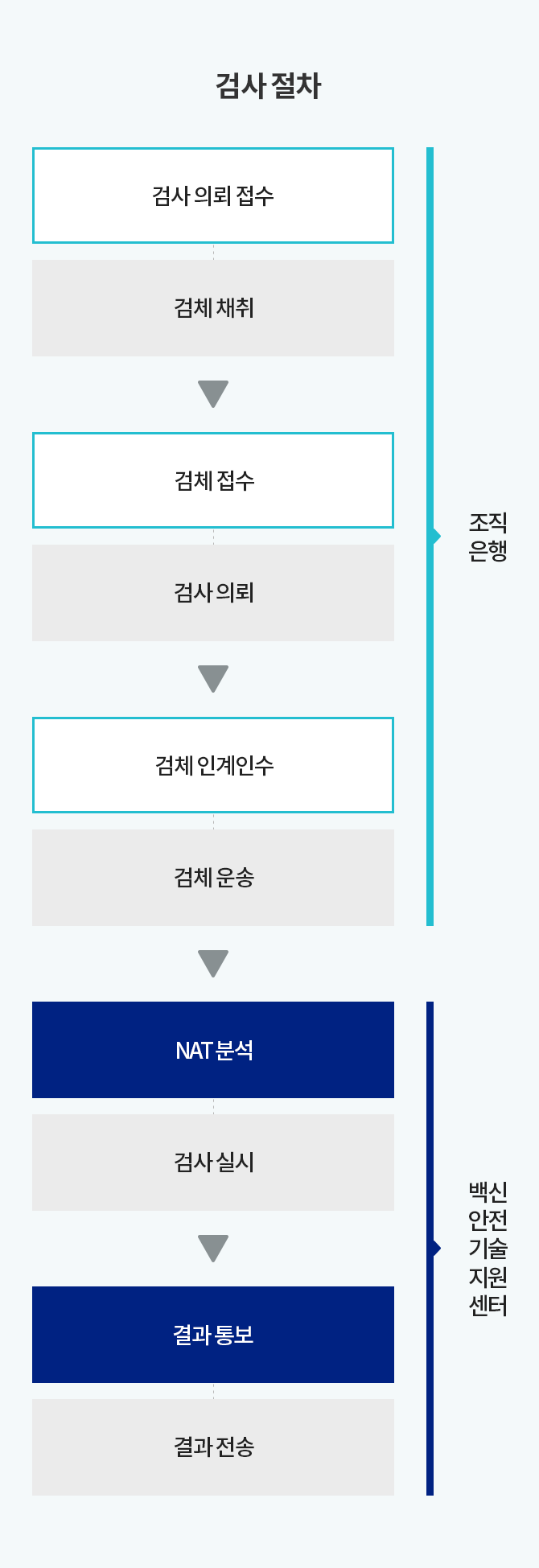 조직은행: 검사 의뢰 접수(검체 채취), 검체 접수(검사 의뢰), 검체 인계인수(검체 운송), 백신안전기술지원센터: NAT 분석(검사 실시), 결과 통보(결과 전송)